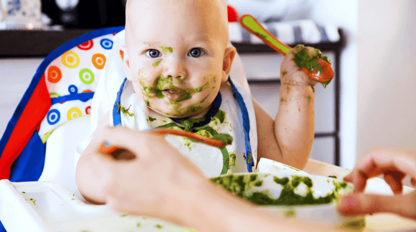 Transitioning to Solids - 3 Recipe Ideas for Growing Babies | Fawn & Doe Baby Co.